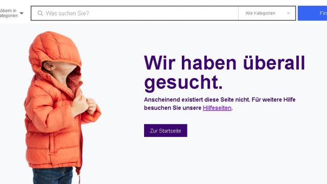 ebay.de - hat überall gesucht